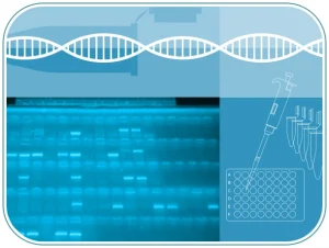 Curso practico biologia molecular PCR a tiempo final presencial hands-on y online