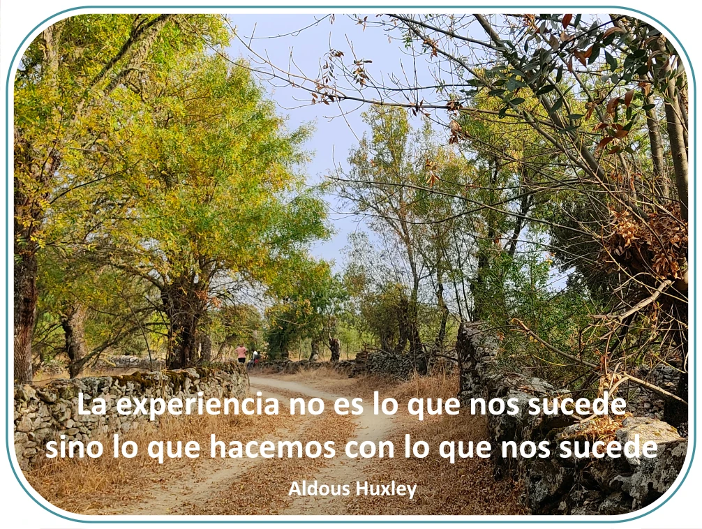 "La experiencia no es lo que nos sucede sino lo que hacemos con lo que nos sucede" Aldous Huxley