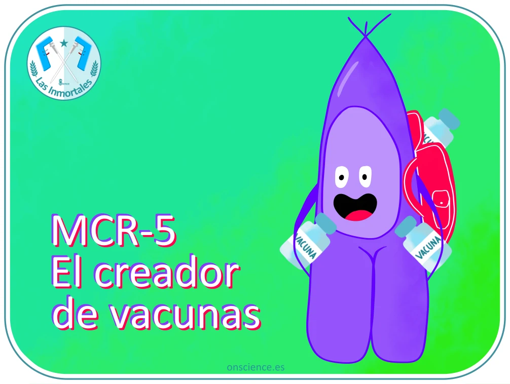 Células MCR-5 cells en cultivo celular