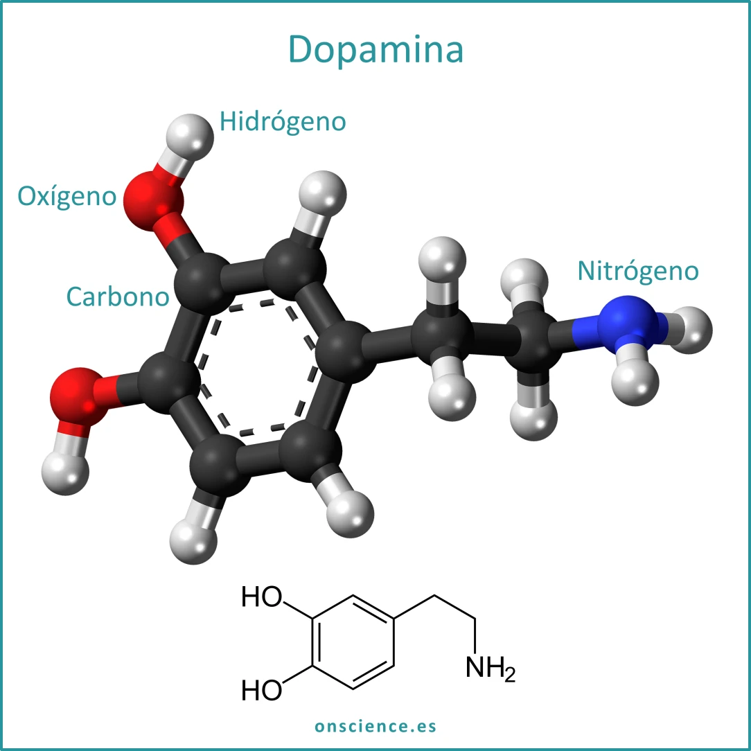 Células SH-SY5Y producen dopamina