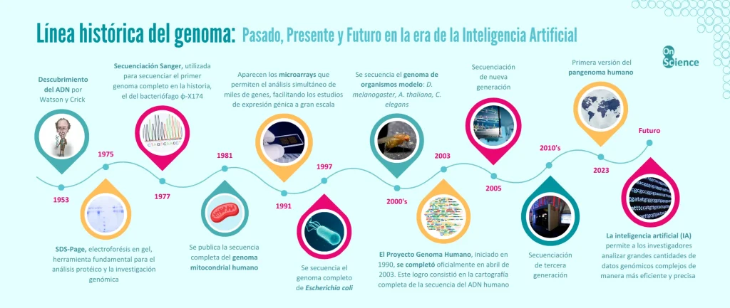 Linea histórica genoma