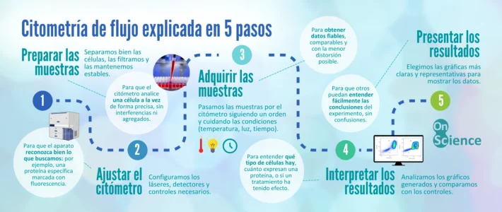 Los cinco pasos esenciales de la citometría de flujo 5 pasos citometría de flujo