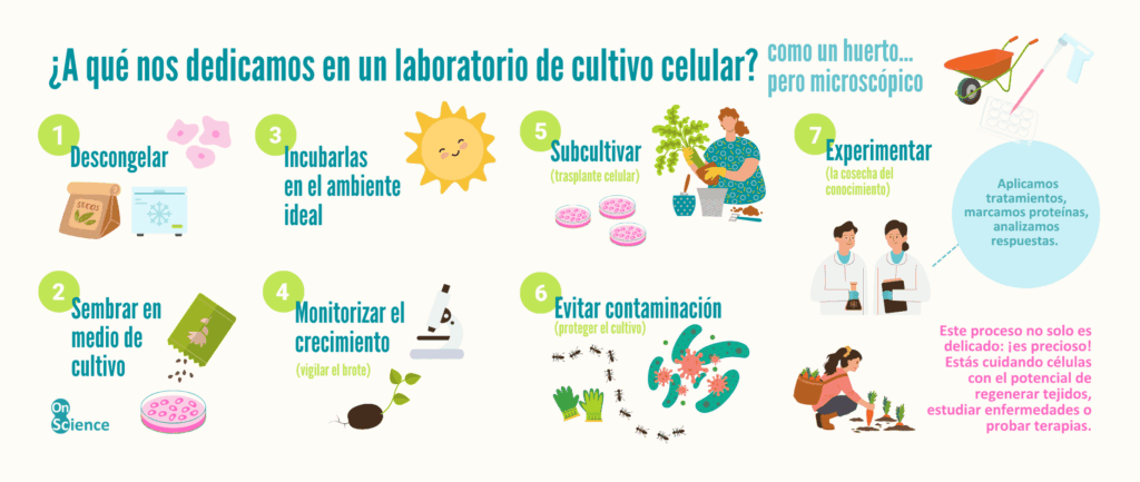 laboratorio de cultivo celular